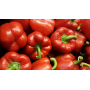 pimientos rojos segunda