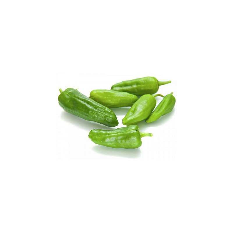 pimiento del padron