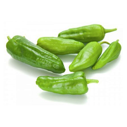 pimiento del padron pimiento del padron