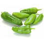pimiento del padron