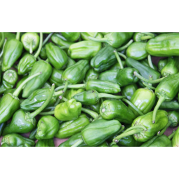 pimientos del padron