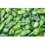 pimientos del padron