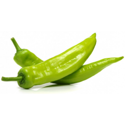 pimiento italiano
