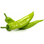 pimiento italiano