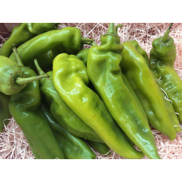 pimientos italianos