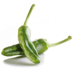 pimiento de gernika