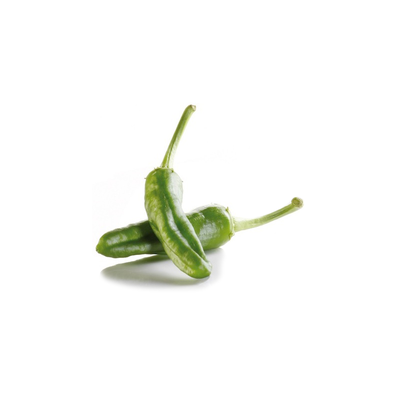 pimiento de gernika