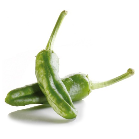 pimiento de gernika pimiento de gernika