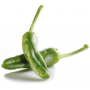 pimiento de gernika
