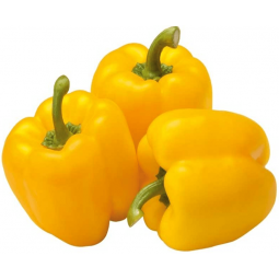 pimiento amarillo