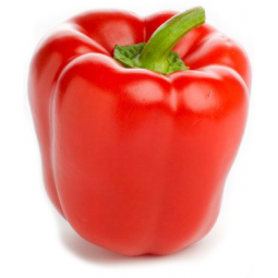pimiento rojo extra