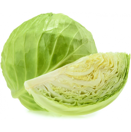 repollo repollo