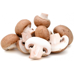 champiñón Portobello