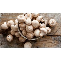 champiñones