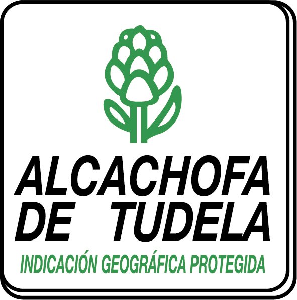 alcachofa-tudela